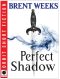 [Night Angel 0.50] • Perfect Shadow · A Night Angel Novella